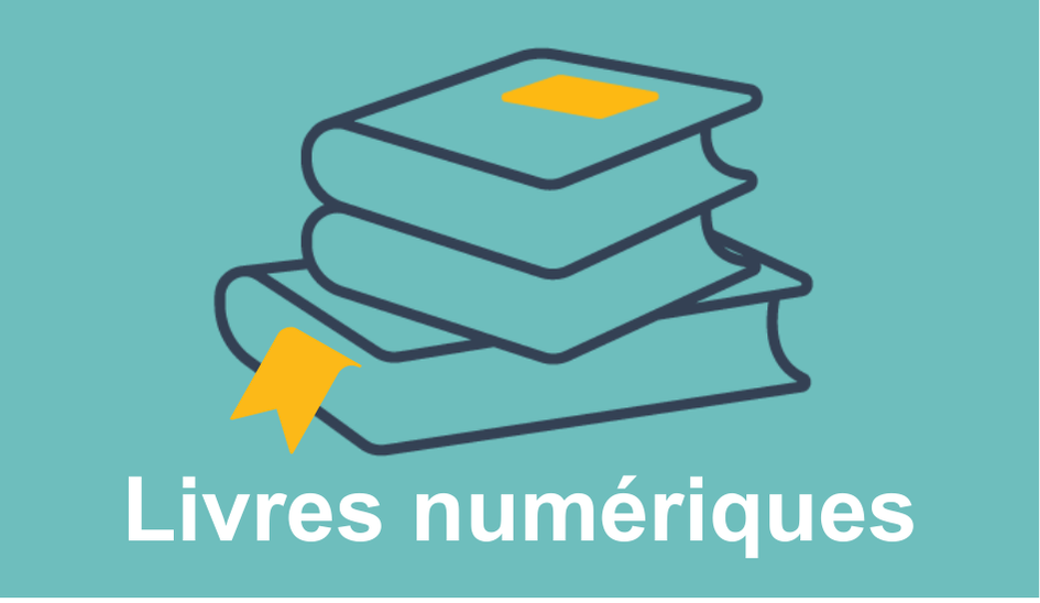 biblioth-ques-cisss-des-laurentides-a-propos-de-kentika